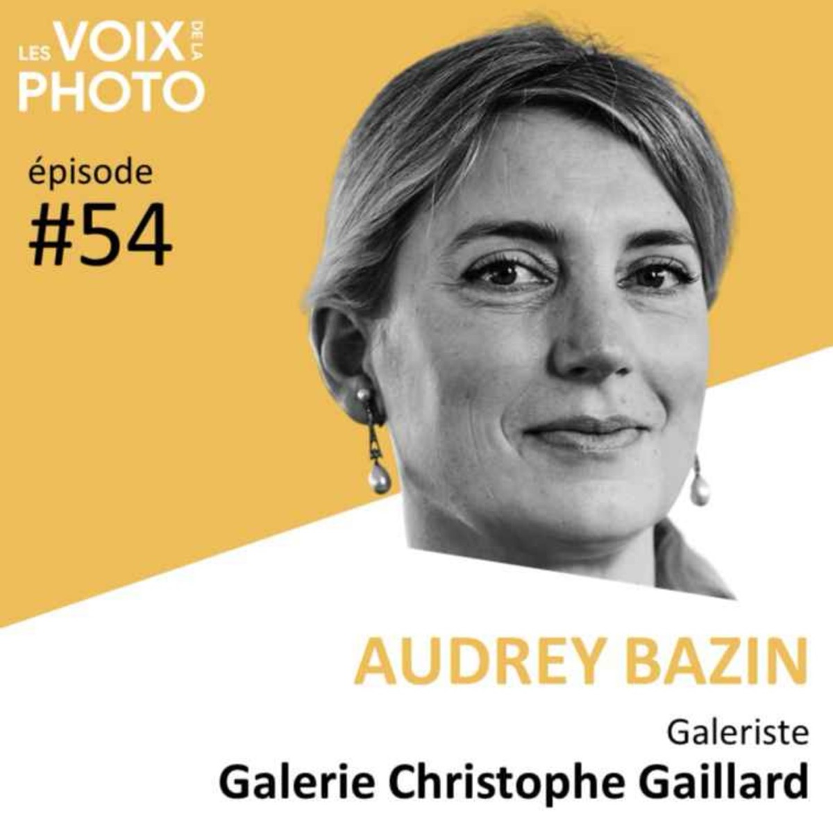 #54 Audrey Bazin (Galerie Christophe Gaillard), podcast Les Voix de la Photo