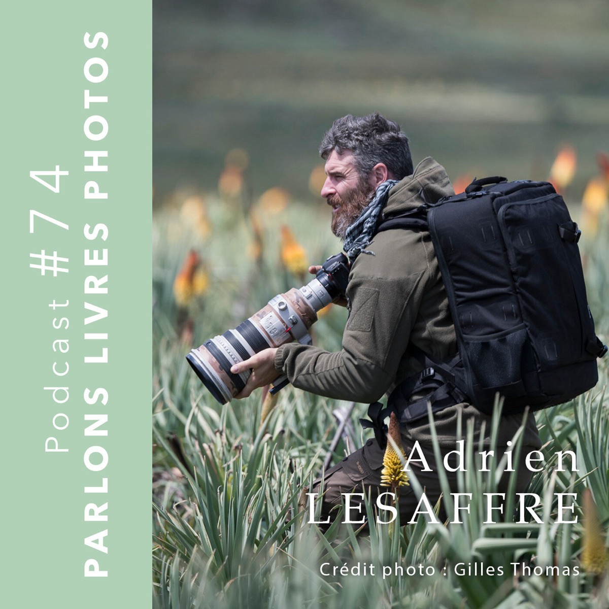 Adrien Lesaffre : photographier les loups d&rsquo;Éthiopie