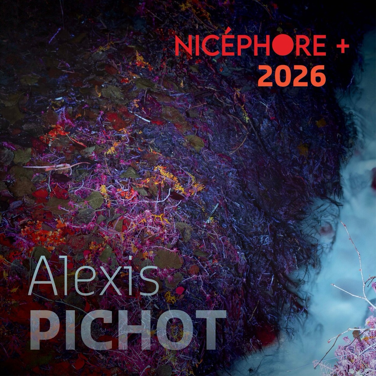 Alexis Pichot · Festival Nicéphore + 2026 - Révélation(s)