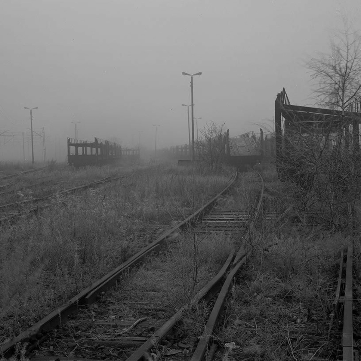Carte blanche à Brigitte Patient : Une histoire triste, podcast 9 Lives Magazine - Photographie & Art Visuel