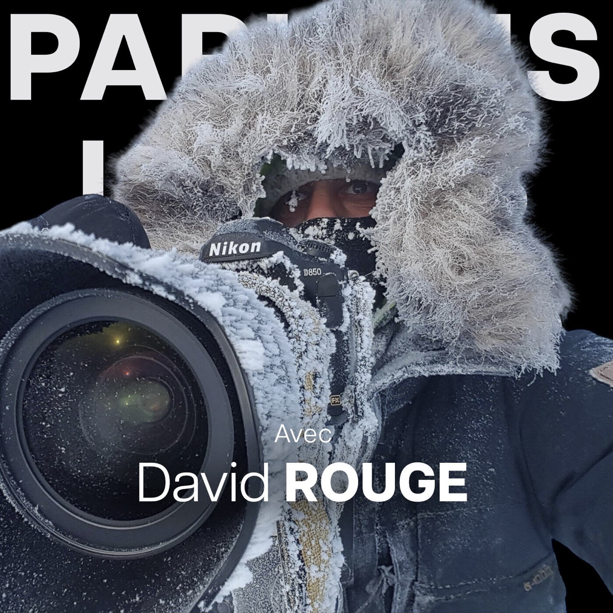 David Rouge, photographe animalier entre Afrique et Arctique