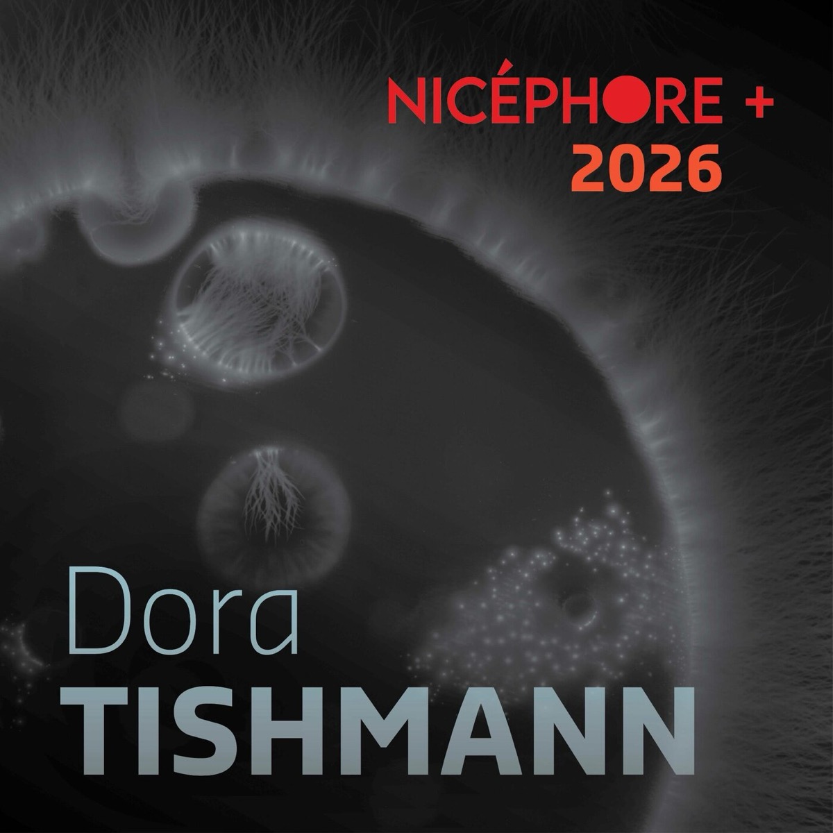 Dora Tishmann · Festival Nicéphore + 2026 - Révélation(s)