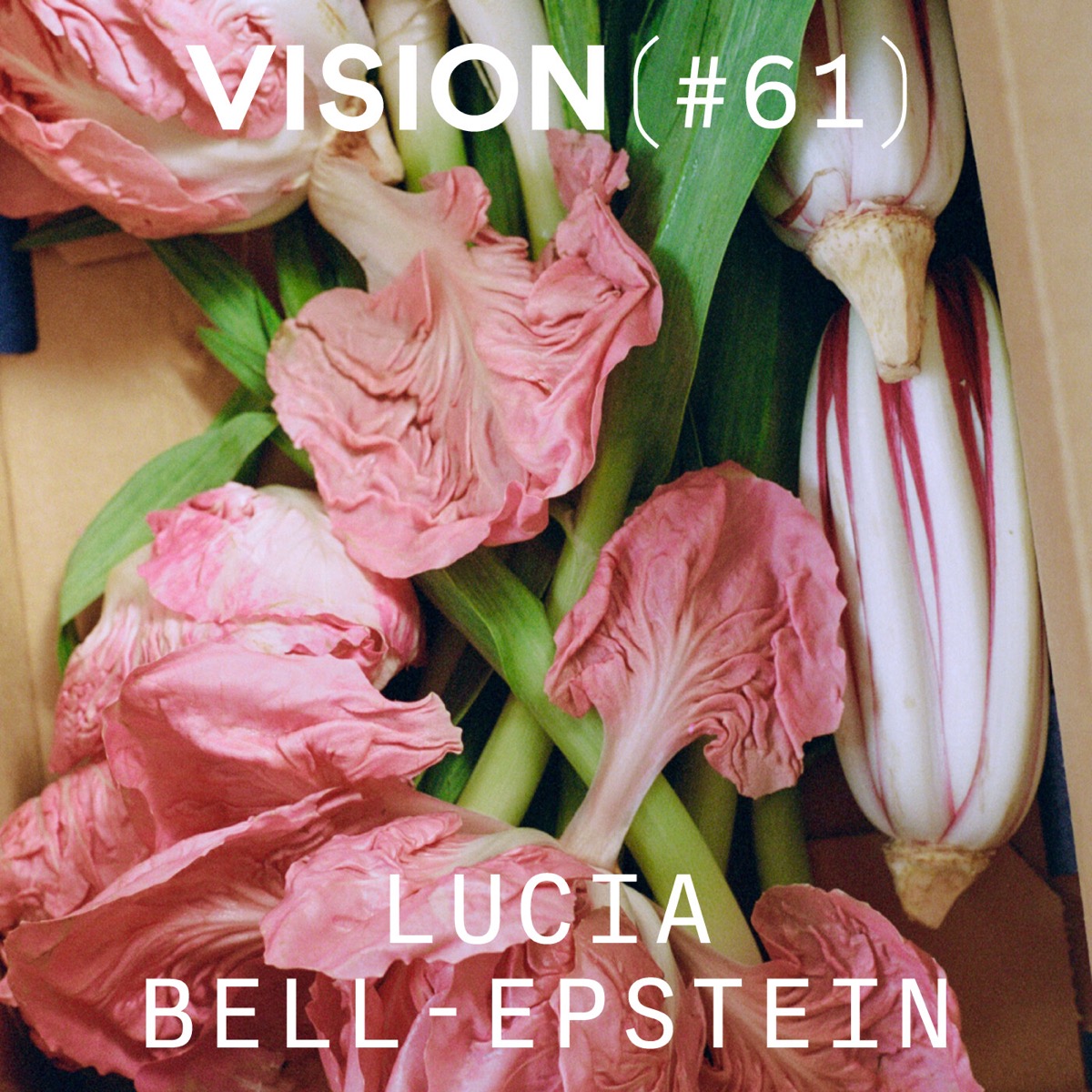[EN] VISION #61 — LUCIA BELL-EPSTEIN | The revival of food photography