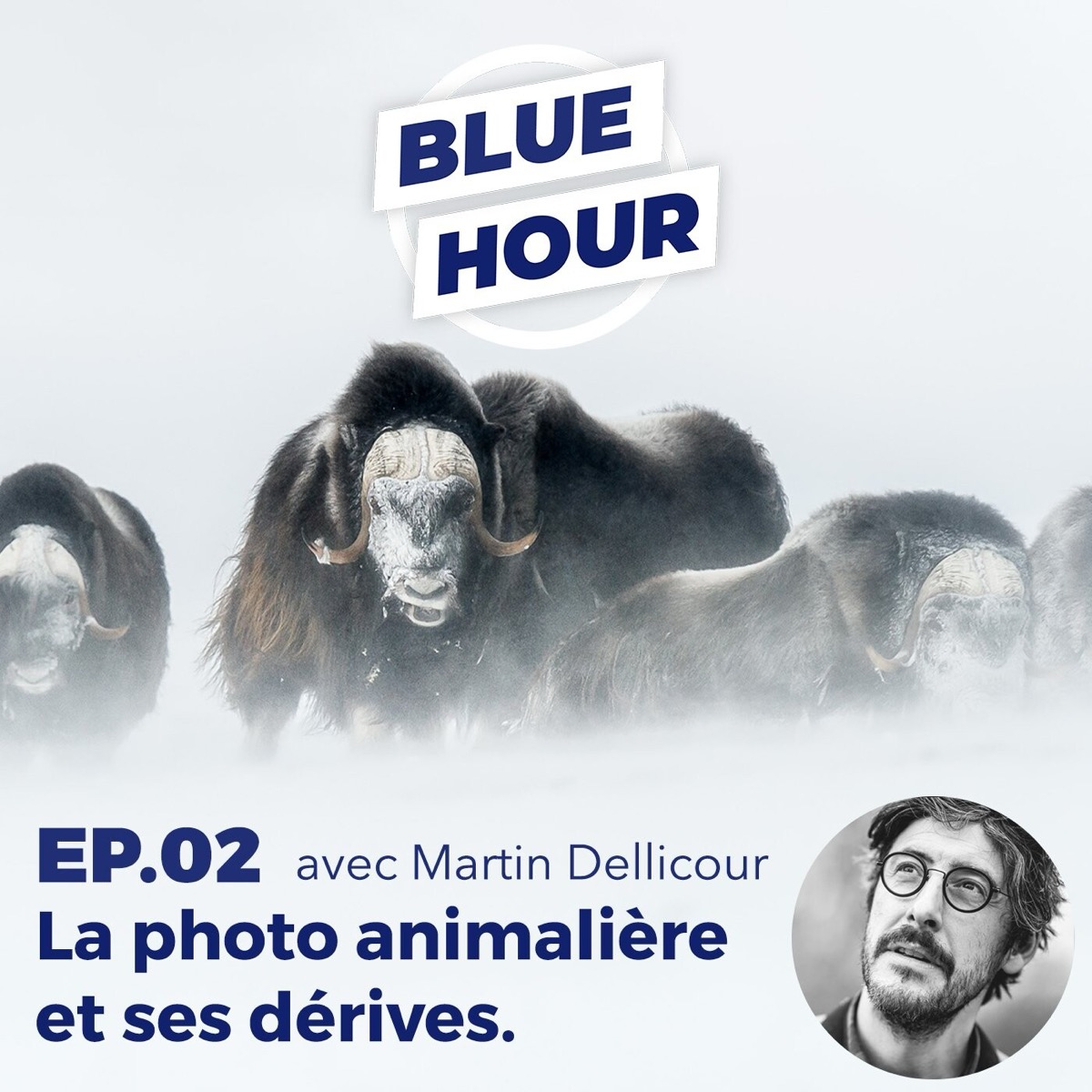 EP.02 - La photo animalière et ses dérives (ft. MARTIN DELLICOUR), podcast Blue Hour - Le Club Photo
