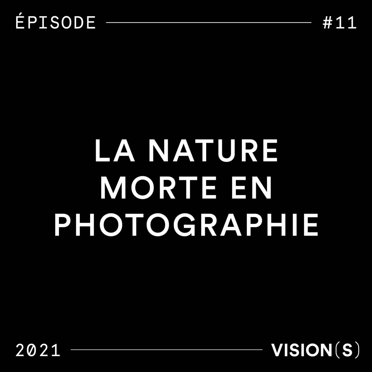 EPISODE #11 - La nature morte en photographie, podcast Vision(s)