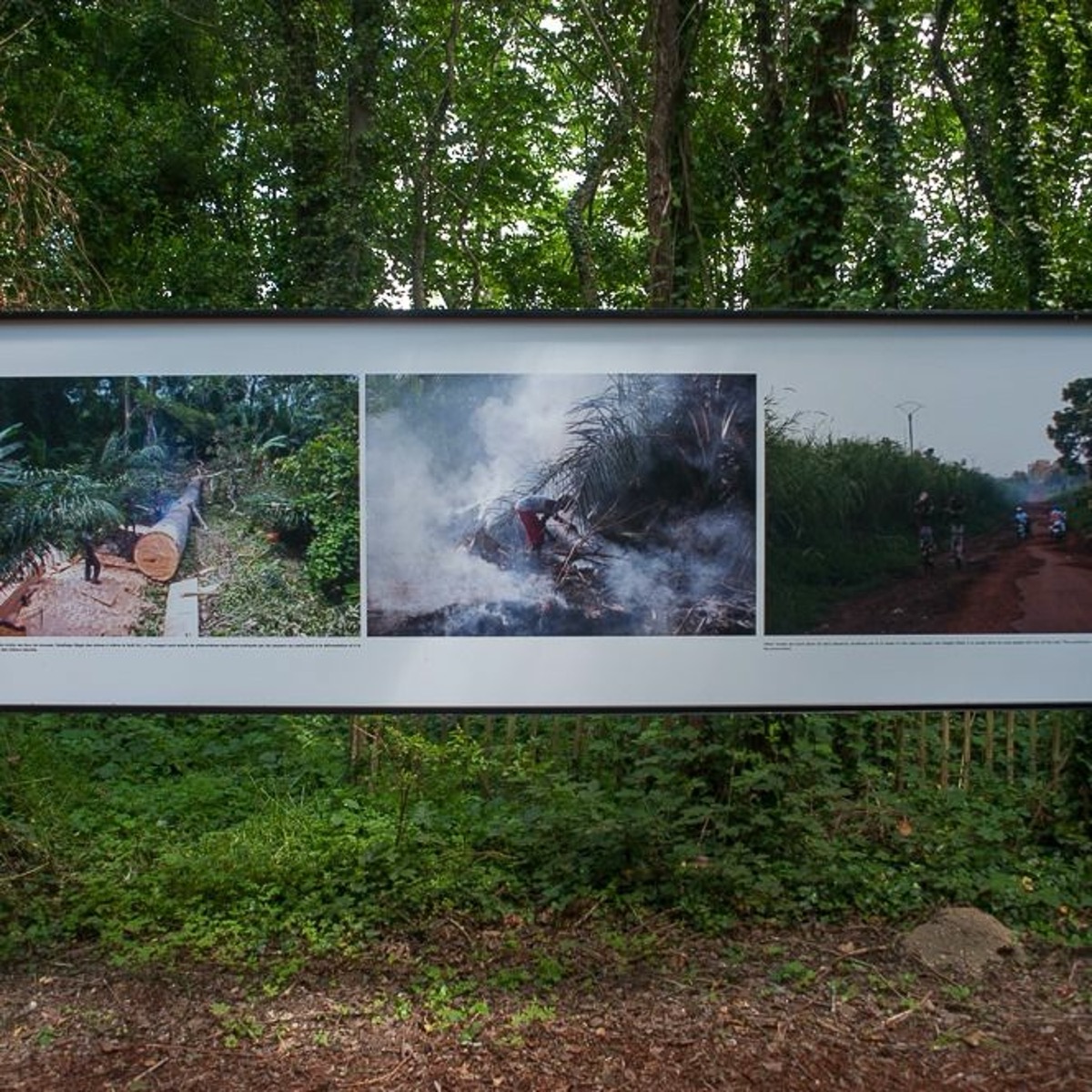 Festival La Gacilly 2019 : Guillaume Herbaut, podcast 9 Lives Magazine - Photographie & Art Visuel