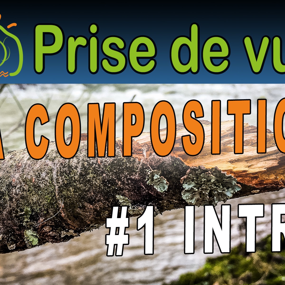 La Composition en Photo #1 Introduction