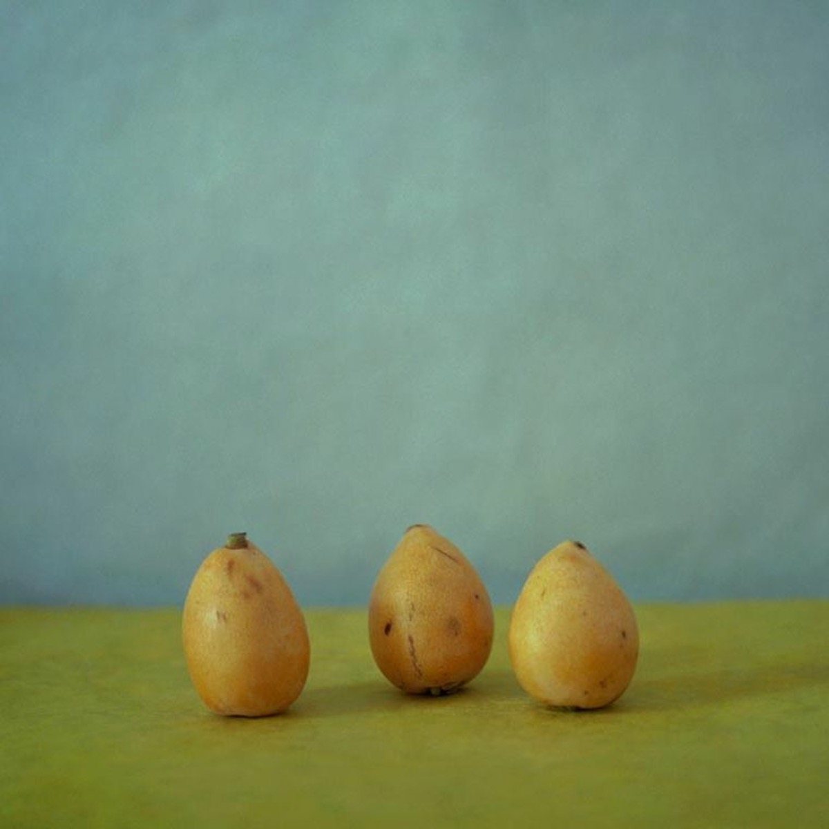 Portrait de la photographe Amélie Chassary pour l'épisode sur son travail « L'éloge de la simplicité »