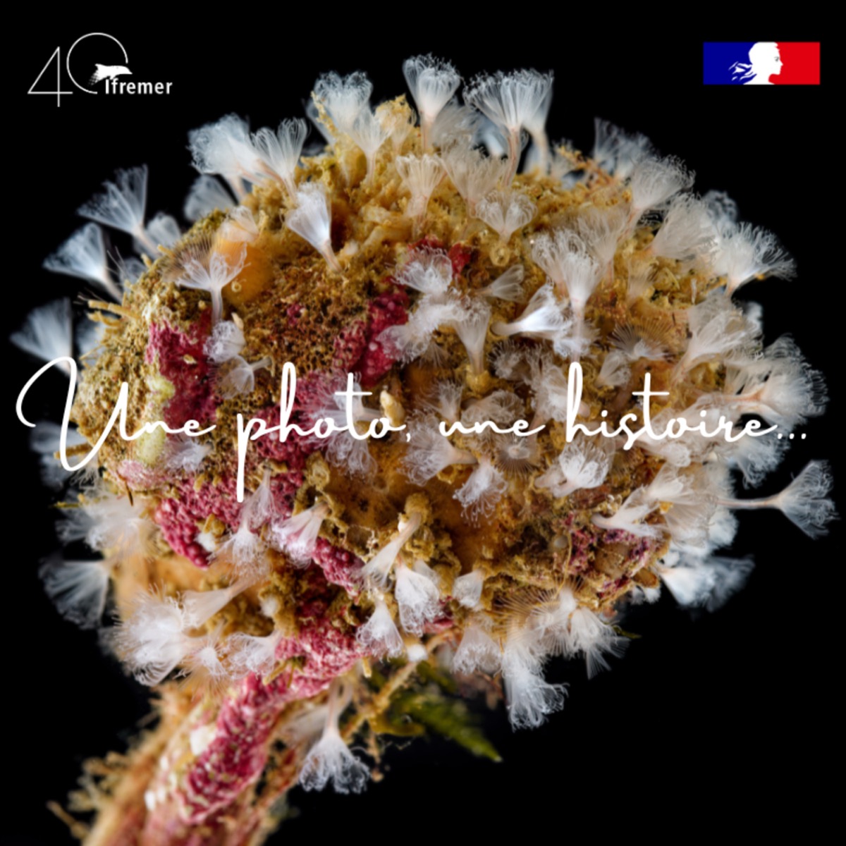 ⚓ Peut-on restaurer la biodiversité dans les ports ? #8