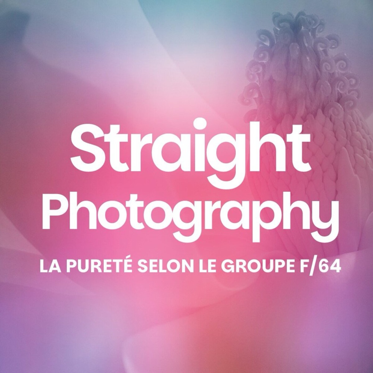 Photographie Pure : Histoire et impact du Groupe F/64