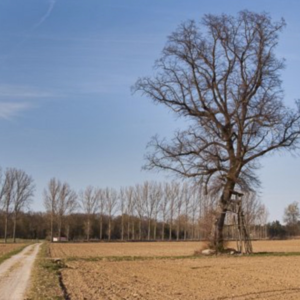 Pochette du podcast sur le choix d'un objectif pour la photo de paysage