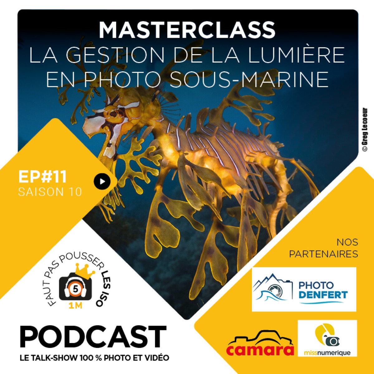 S1011 - MASTERCLASS : LA GESTION DE LA LUMIÈRE EN PHOTO SOUS-MARINE