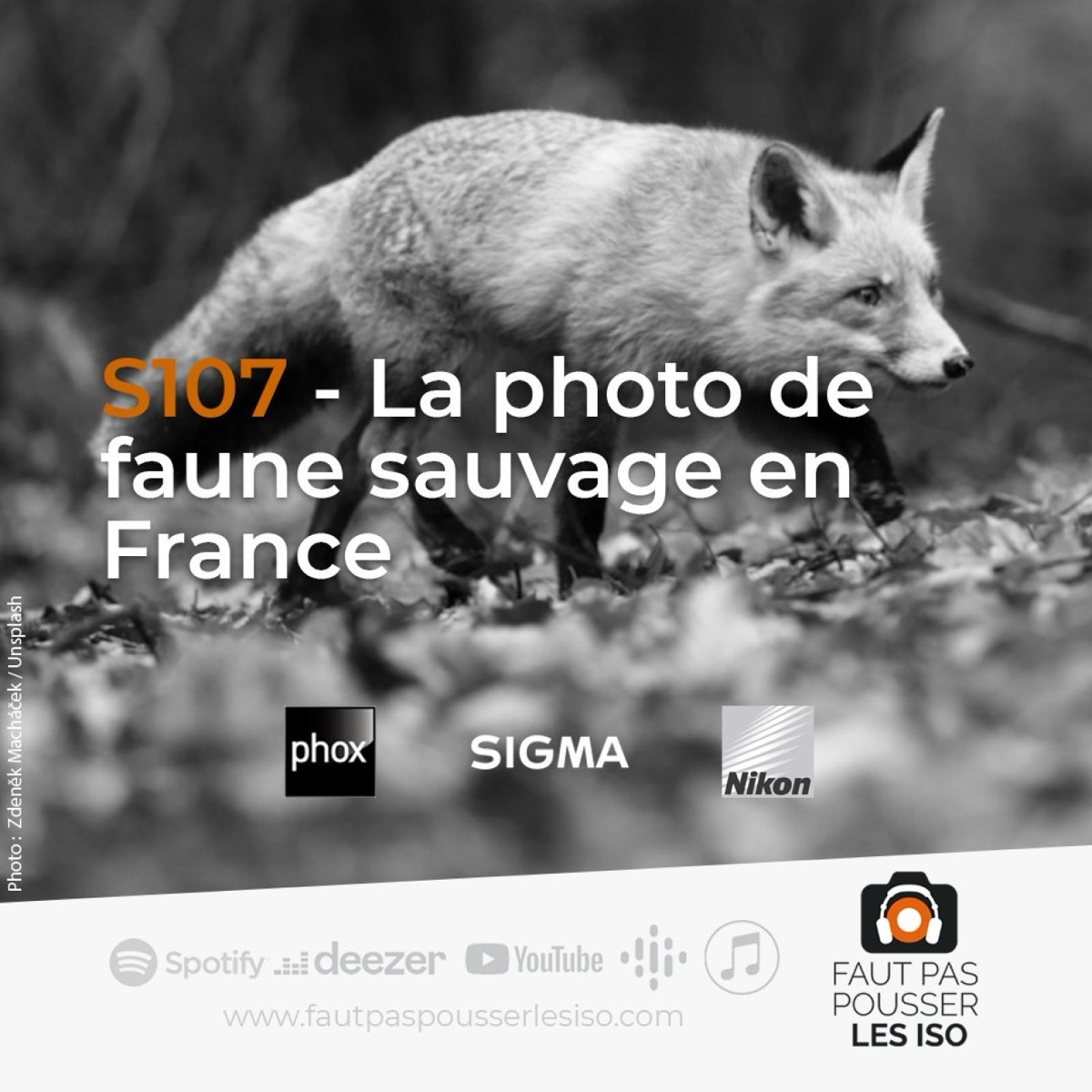 Illustration de la photo de faune sauvage en France, sujet de l'épisode du podcast Faut Pas Pousser Les ISO