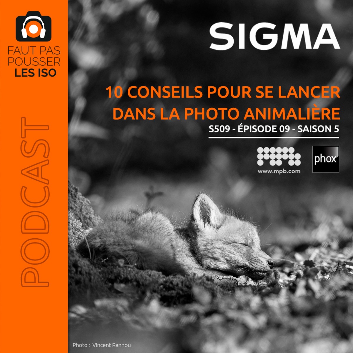 S509 - 10 conseils pour se lancer dans la photo animalière, podcast Faut Pas Pousser Les ISO