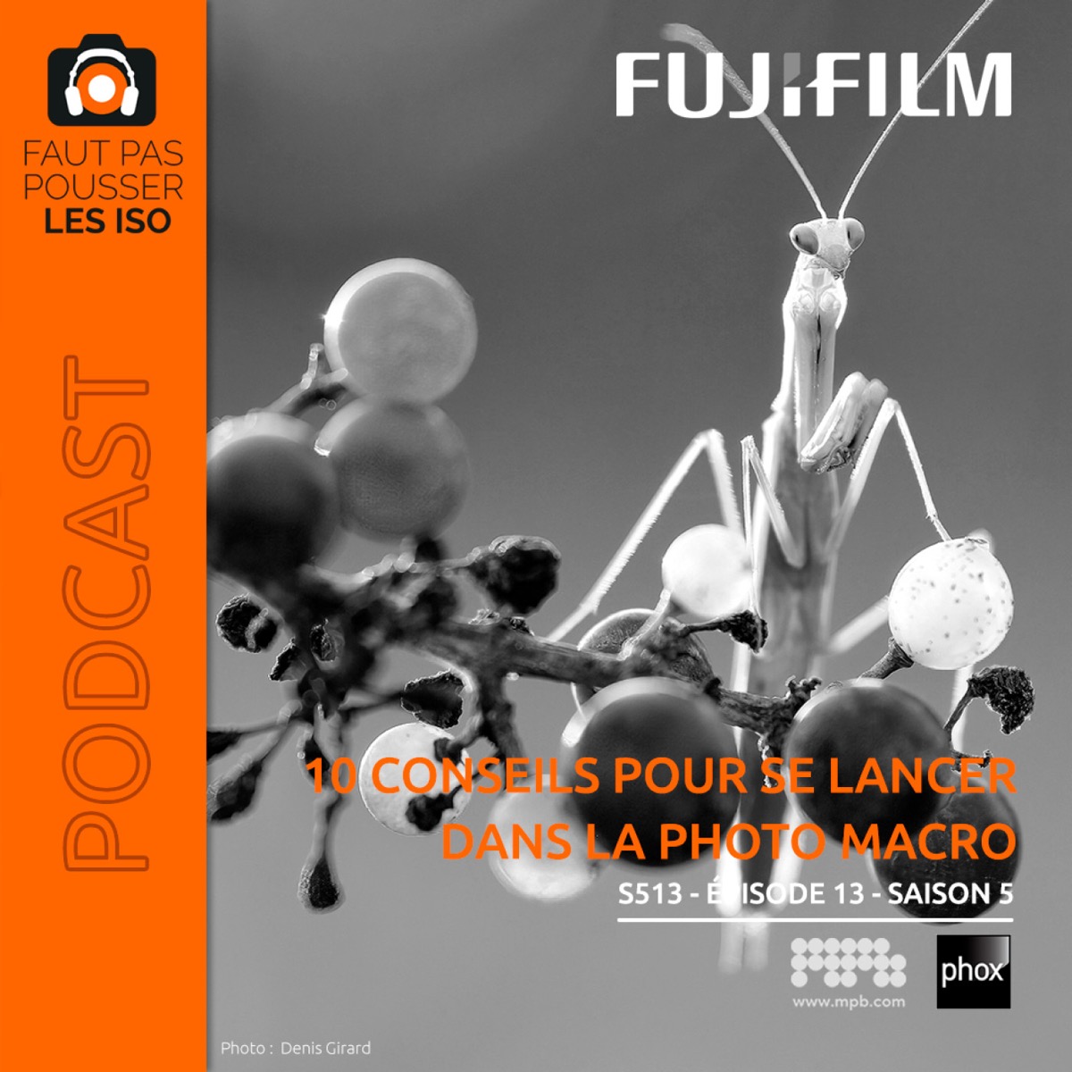 S513 - 10 conseils pour se lancer dans la photo macro, podcast Faut Pas Pousser Les ISO