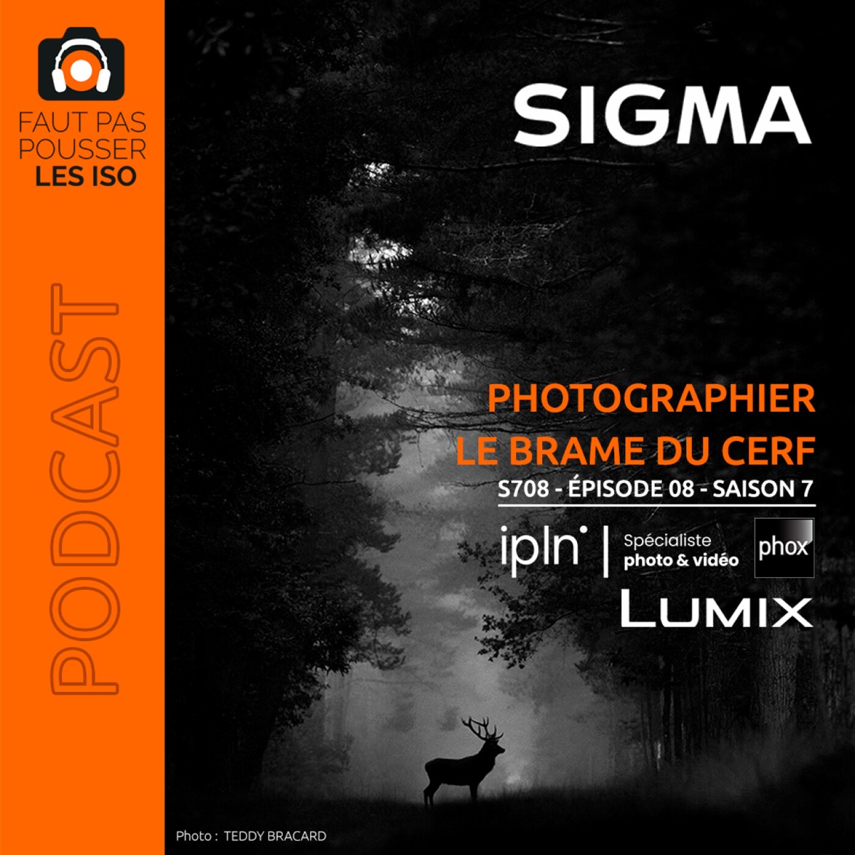 S708 - Photographier le brame du cerf, podcast Faut Pas Pousser Les ISO