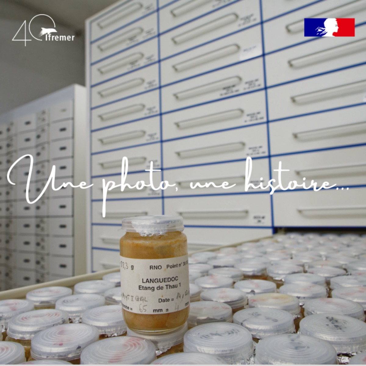 🔬 Un véritable trésor pour l’observation des contaminants chimiques ! #6