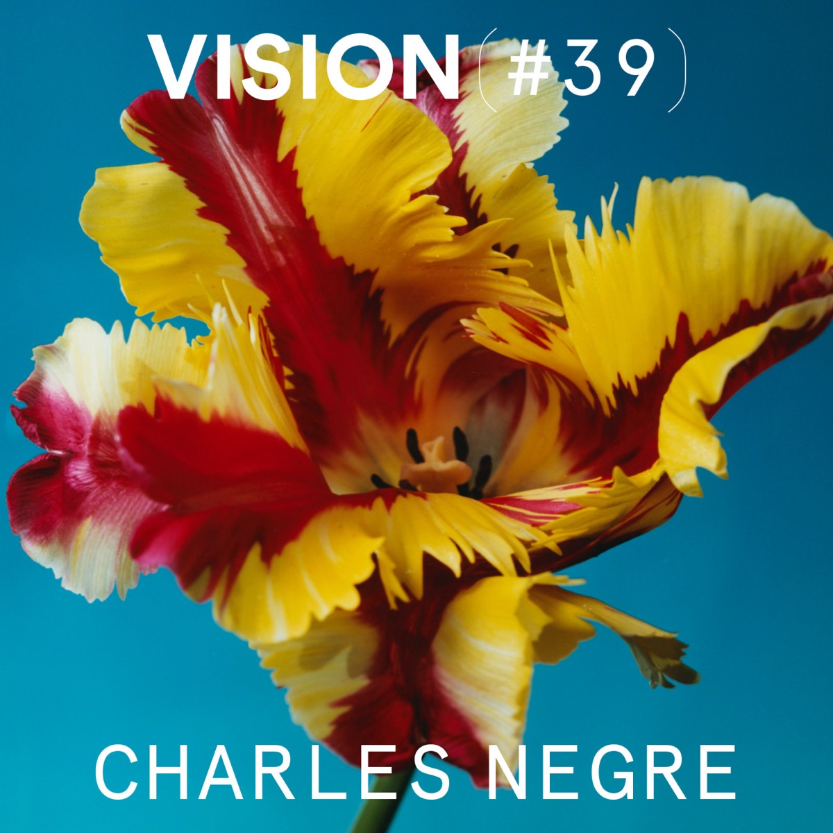 VISION #39 — CHARLES NEGRE, podcast Vision(s)