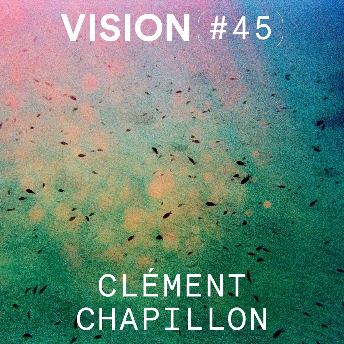 VISION #45 — CLÉMENT CHAPILLON | « En photographiant, je cherche à partir ailleurs », podcast Vision(s)