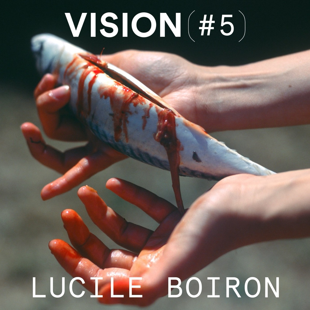 VISION #5 — LUCILE BOIRON, podcast Vision(s)