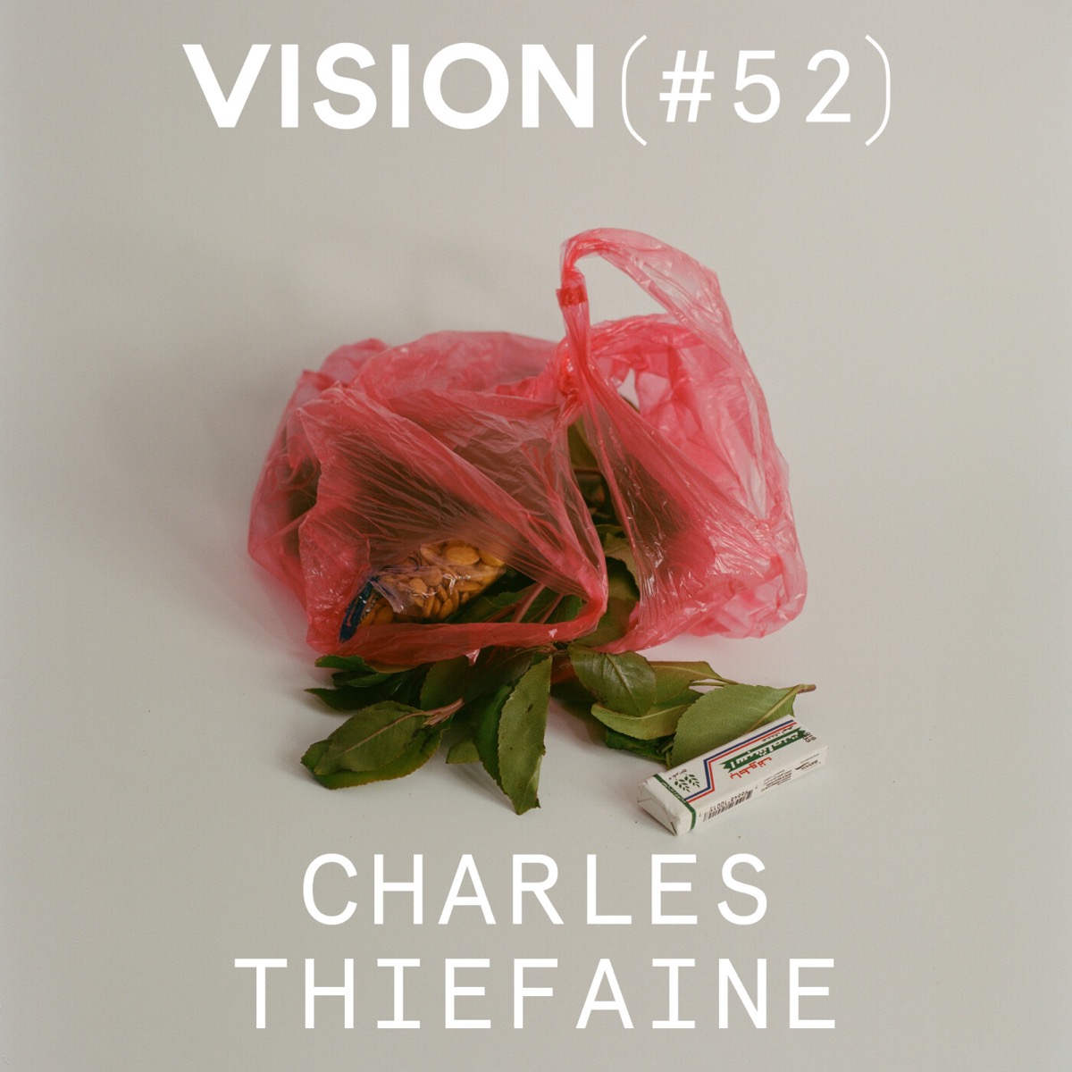 VISION #52 — CHARLES THIEFAINE | « Le photographe influence le sujet qu’il traite et l’image qu’il crée », podcast Vision(s)