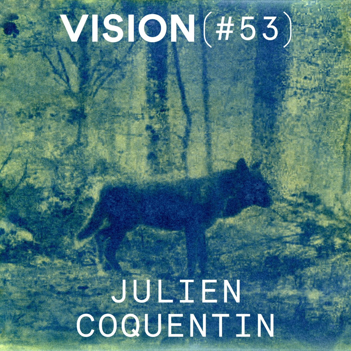 VISION #53 — JULIEN COQUENTIN | « Je me rends compte que chacune de mes séries se nourrit directement de ce que je suis en train de vivre », podcast Vision(s)