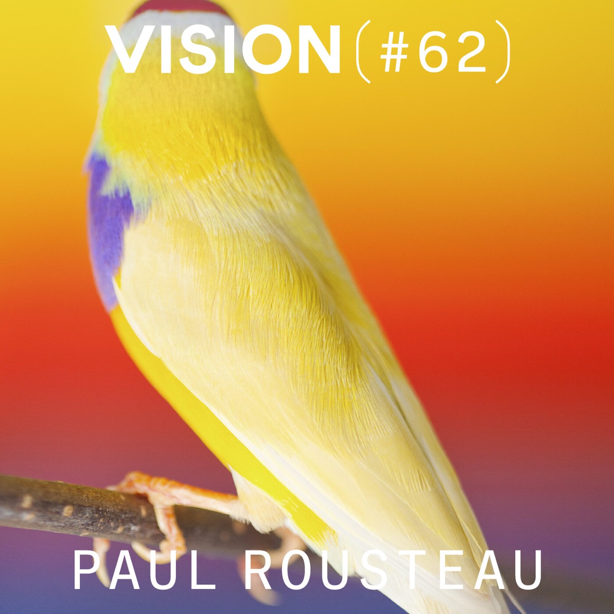 VISION #62 — PAUL ROUSTEAU | « Je suis un punk romantique »